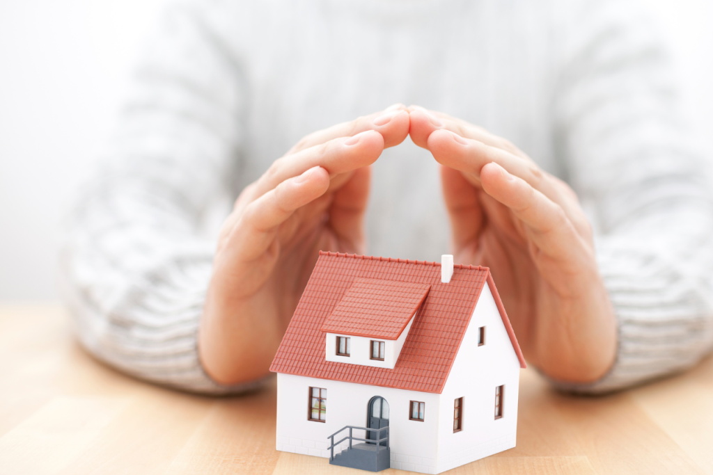 Roof Cleaning services