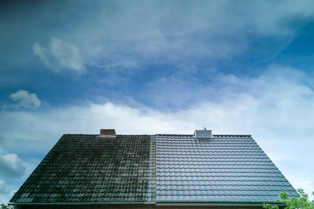 Roof Cleaning